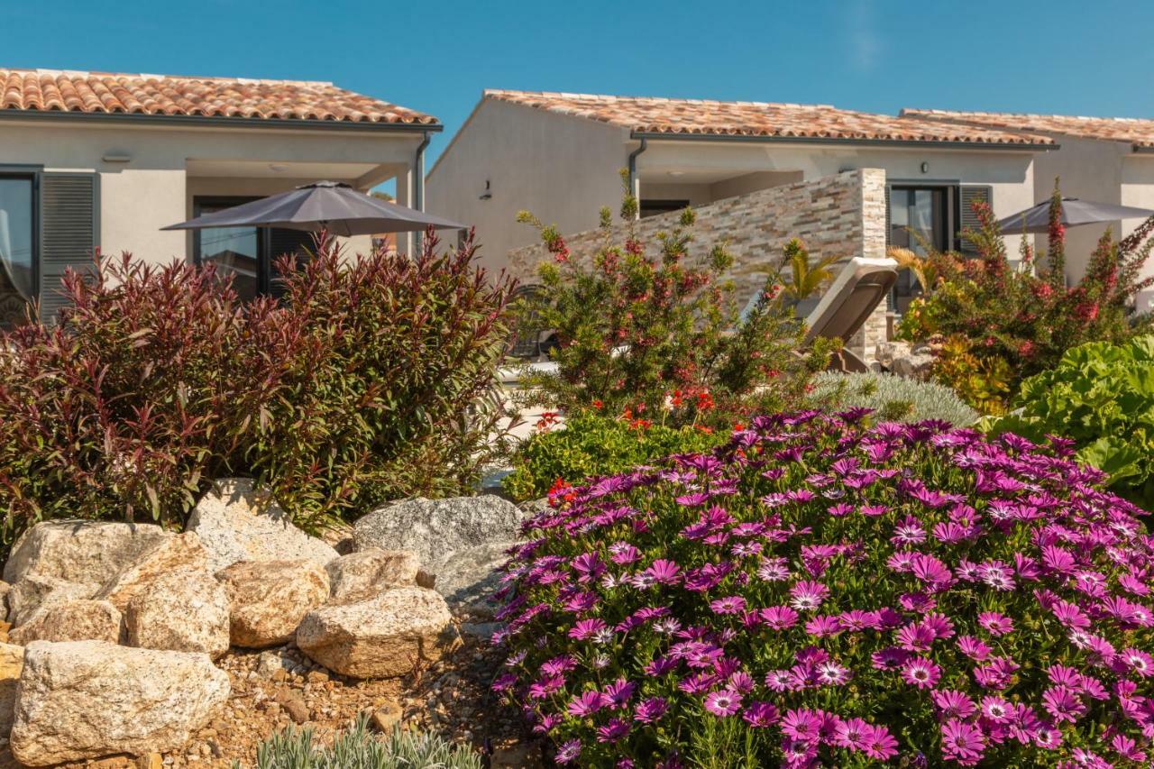 Le Domaine De Marie Villa Palasca  Exteriör bild